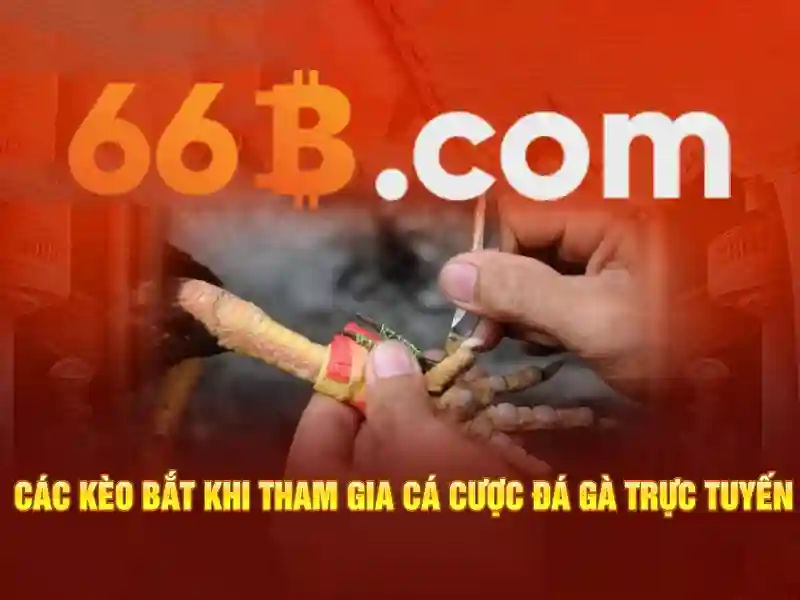 baccarat 66b