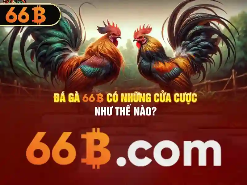 Hiệu suất và giới hạn