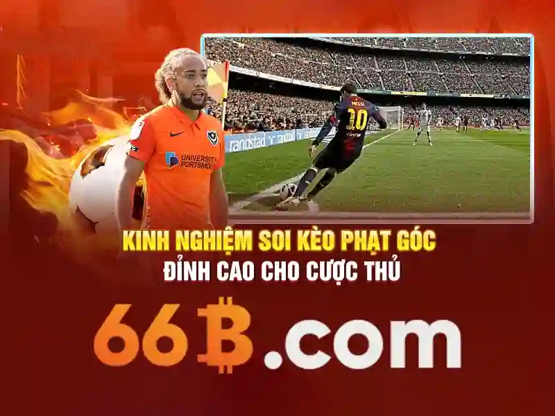 Kiến trúc cơ bản của 66b