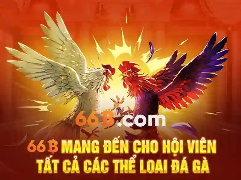 Kiến trúc và quy mô