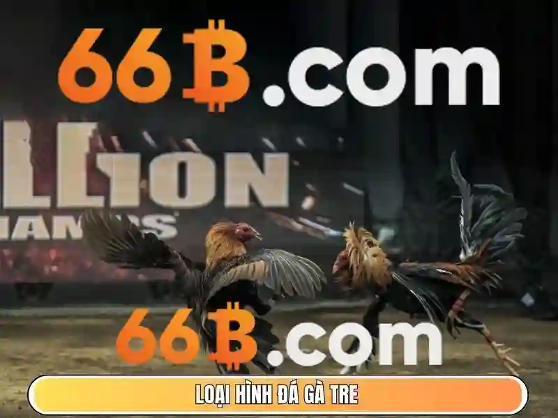 66B là gì và vì sao nó được quan tâm