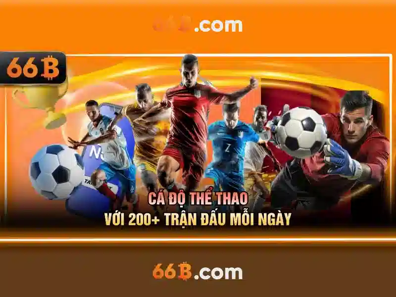 Giới thiệu về 66B