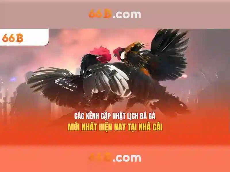 Hiệu suất và các lĩnh vực ứng dụng