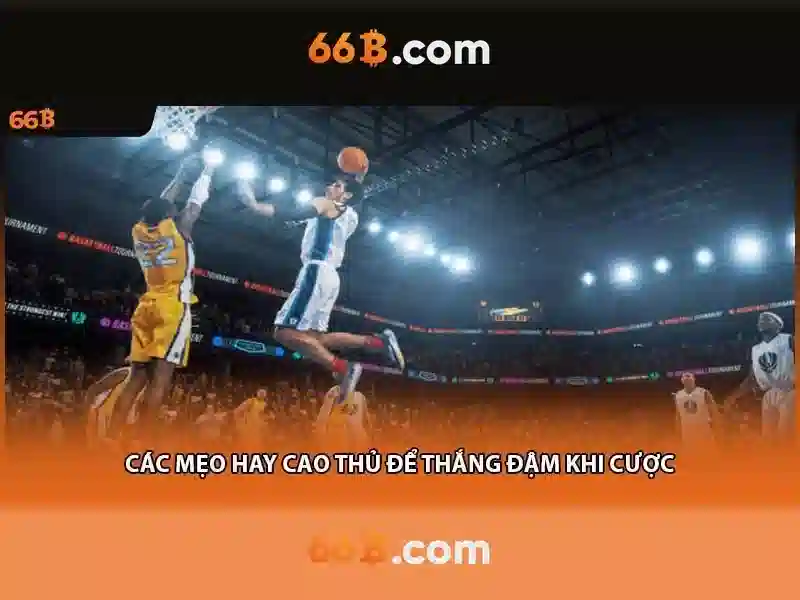 Kiến trúc và tham số