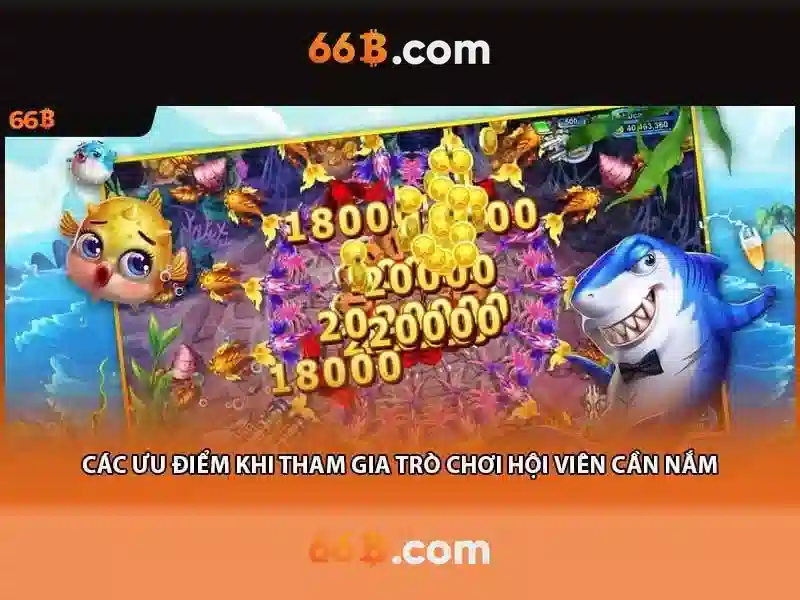 66B là gì và tại sao nó quan trọng