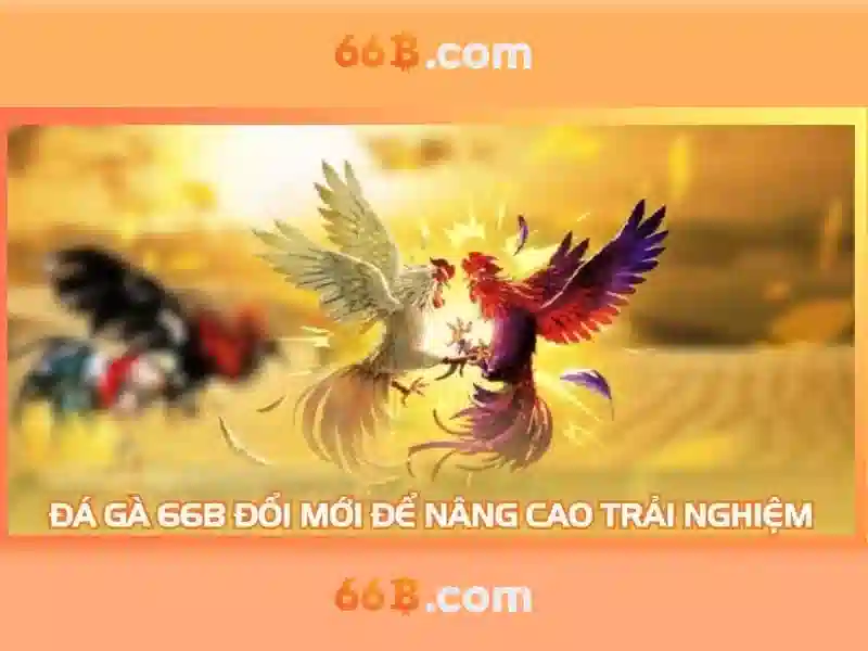 Ứng dụng của 66b