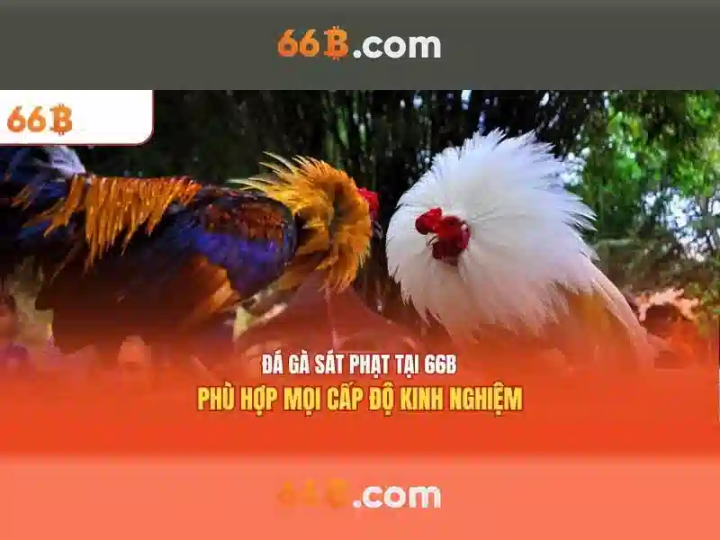 Kiến trúc và hiệu suất