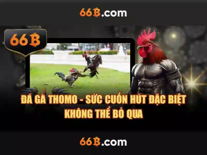 Cấu trúc và tham số