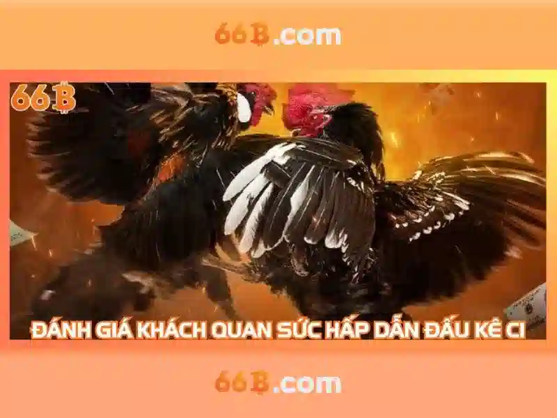 66b là gì trong ngữ cảnh công nghệ