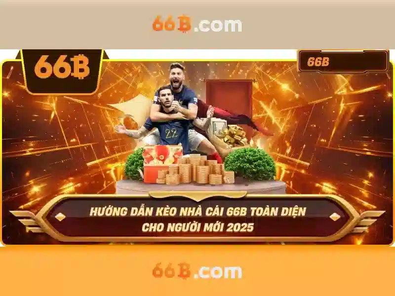 66b là gì?
