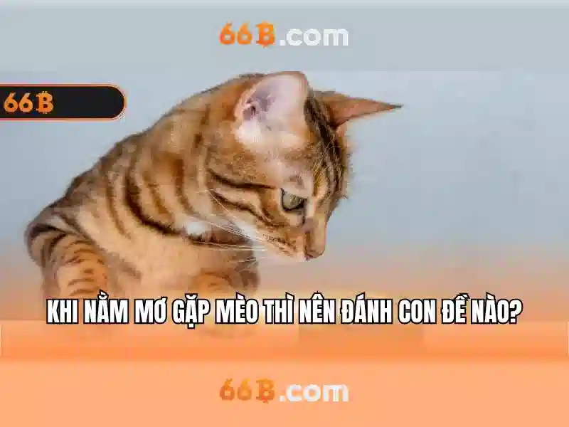 Ứng dụng và tác động của 66b