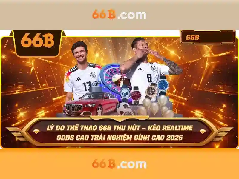 Khái niệm và tầm quan trọng của 66B