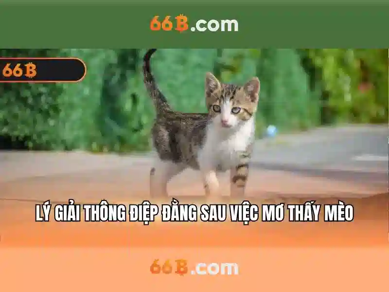 Ứng dụng và thách thức của 66b