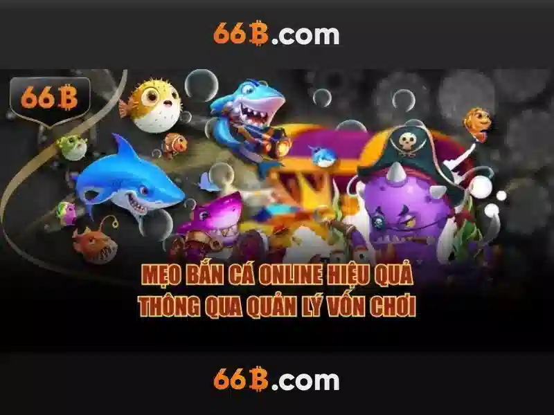 Kiến thức cơ bản về 66b