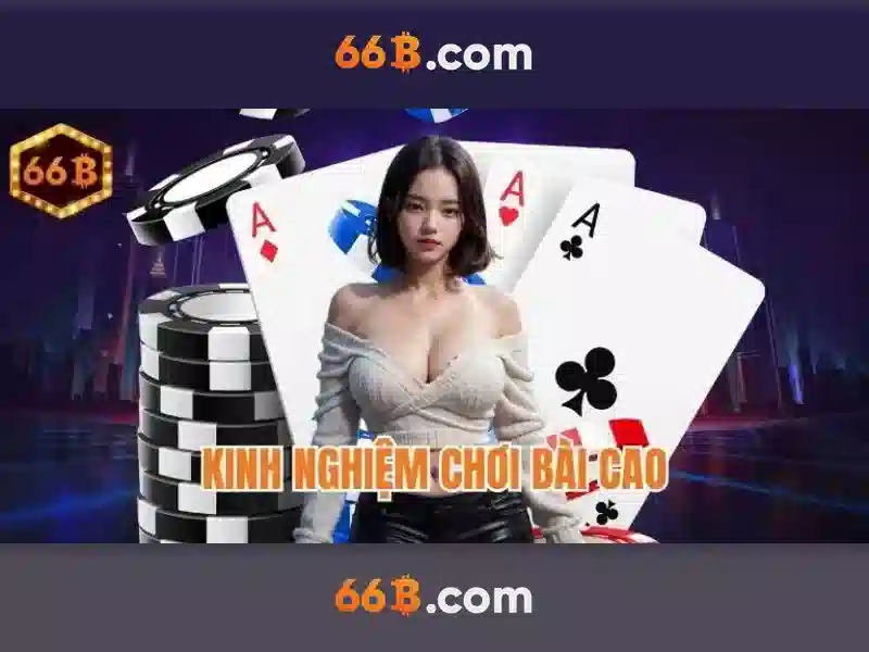Hướng dẫn sử dụng và tiêu chuẩn an toàn