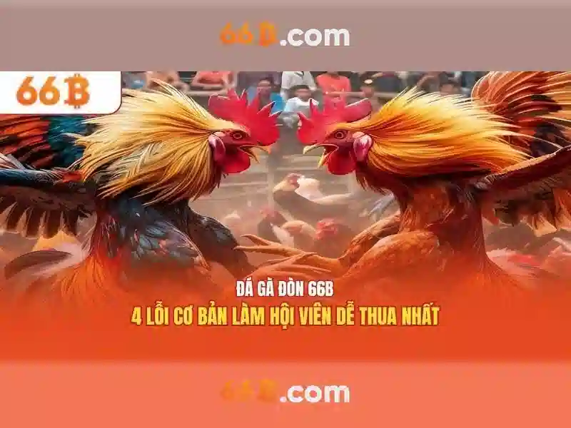 Giới thiệu về 66B
