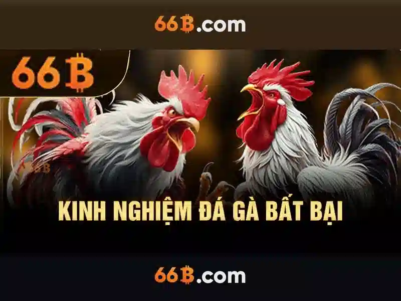 baccarat 66b