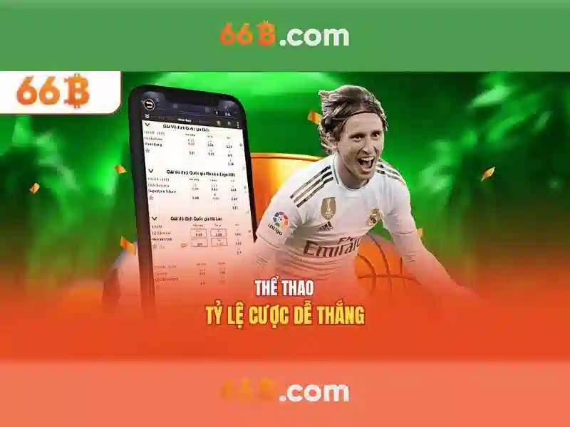66b là gì?