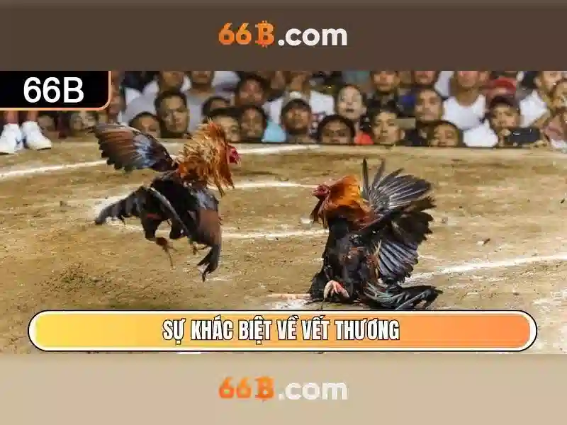 66b trong công nghệ