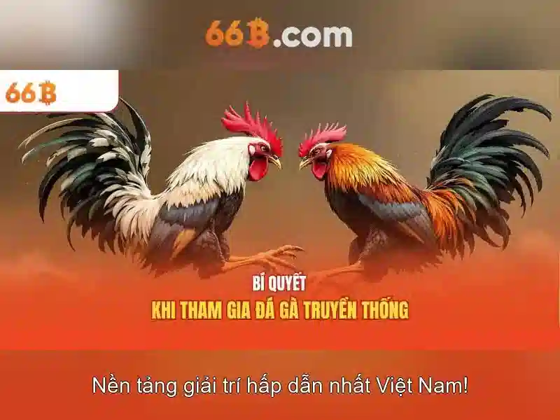 66b là gì