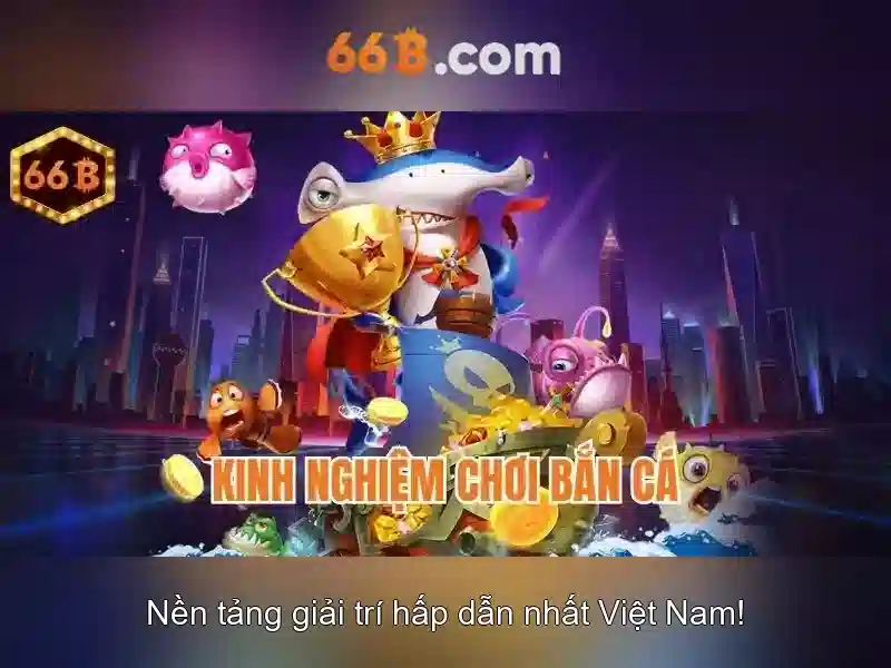 Minh hoa 66b va khuyen mai