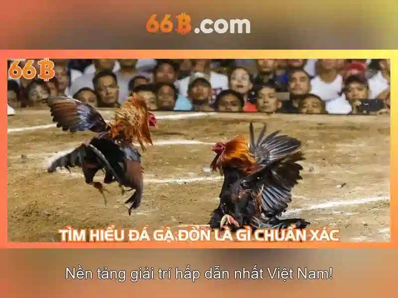 Tương lai của 66B