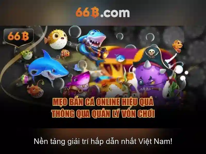 Cách bắt đầu với 66b cho người mới