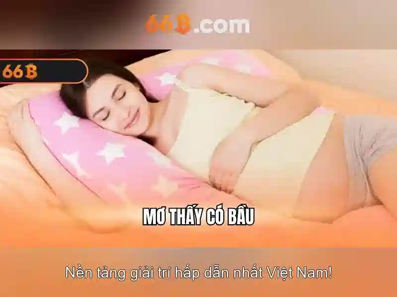 Cấu trúc và tham số