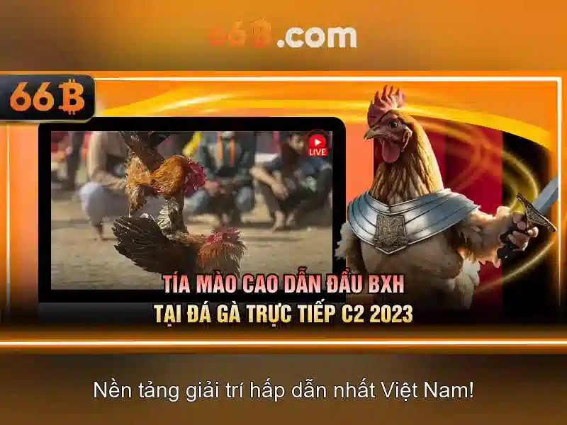 Giới thiệu về 66B