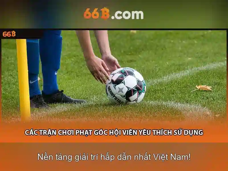 Định hướng tương lai của 66b