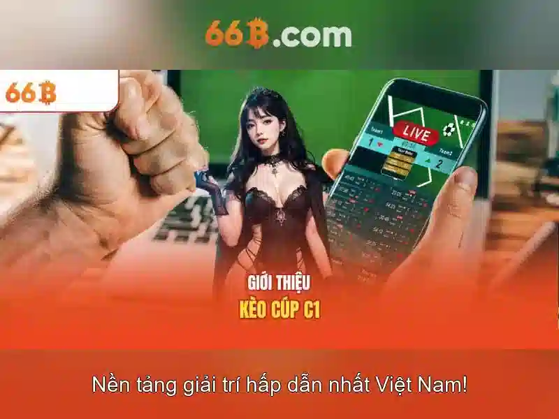 Biểu đồ thị trường 66b