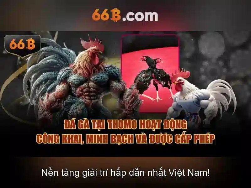 Ứng dụng thực tiễn và tương lai