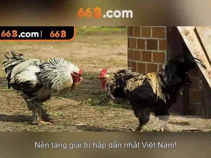 Kết luận và tương lai