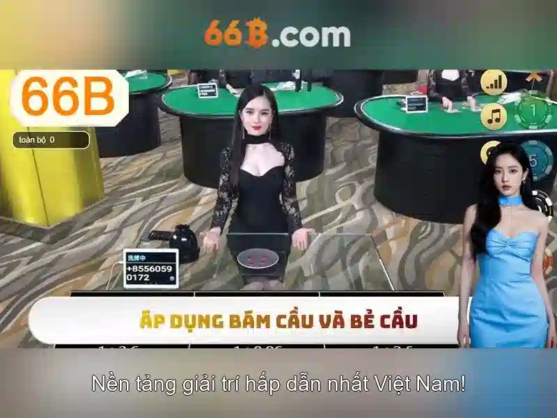 66B là gì?