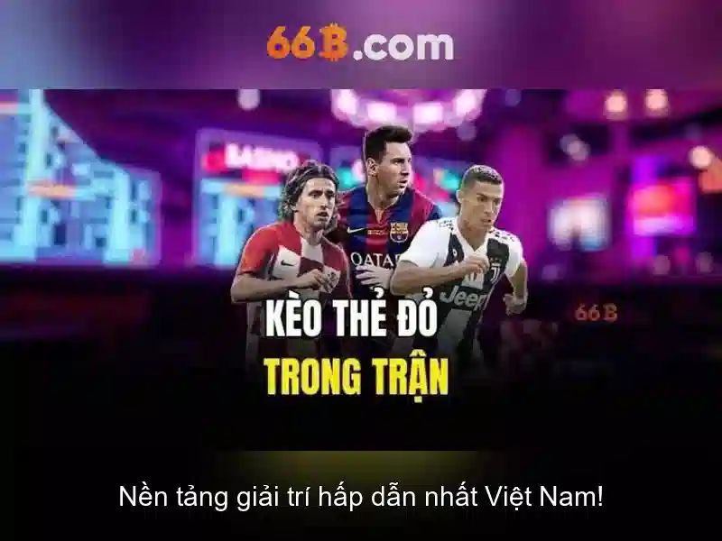 Khái niệm 66b