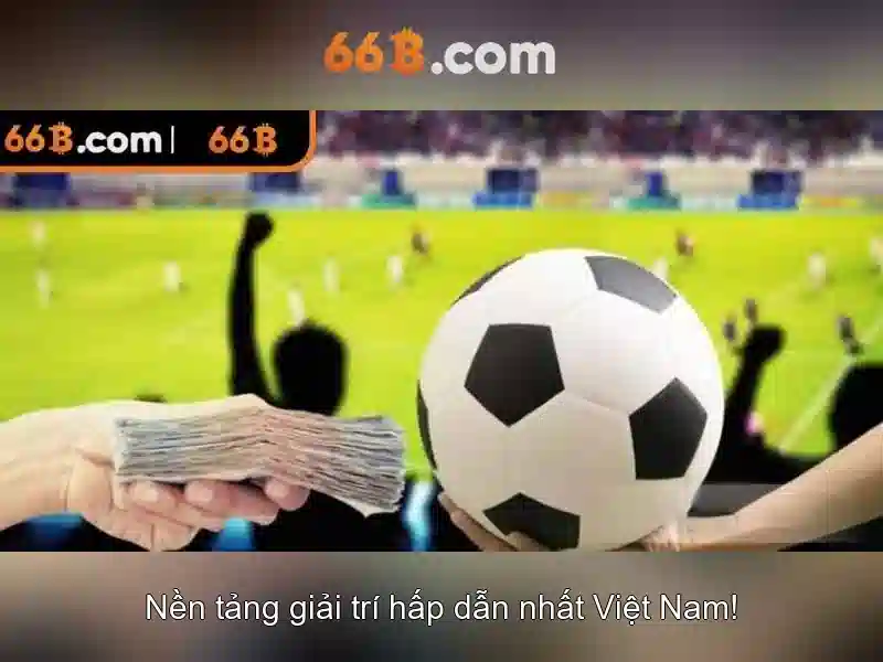 66b là gì và tại sao nó quan trọng
