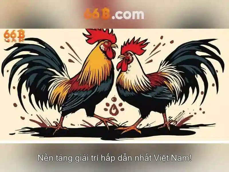Hiệu suất và quy mô của 66B