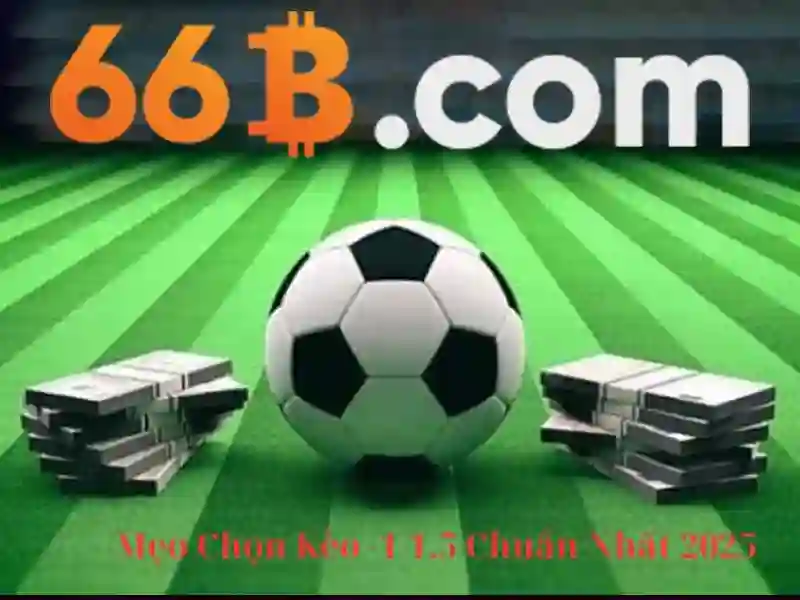 Khái niệm căn bản của 66b