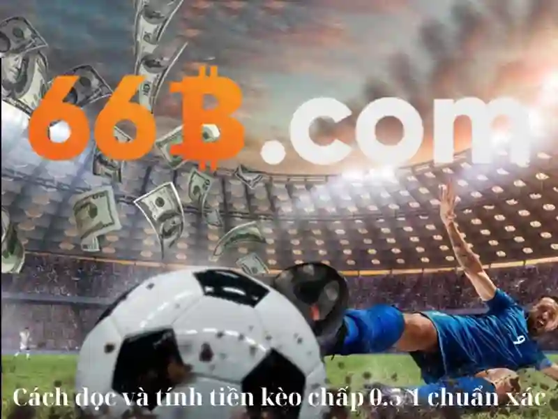 66B là gì?
