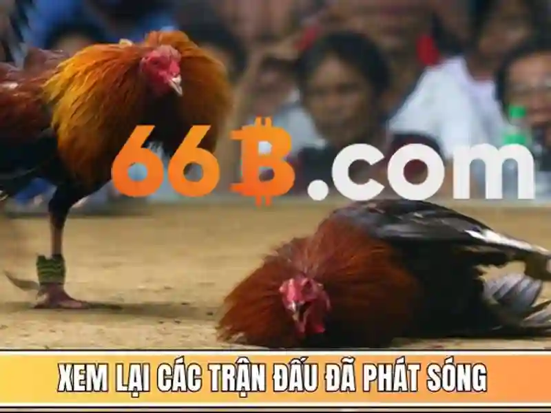 Nguồn gốc và mục tiêu của 66b