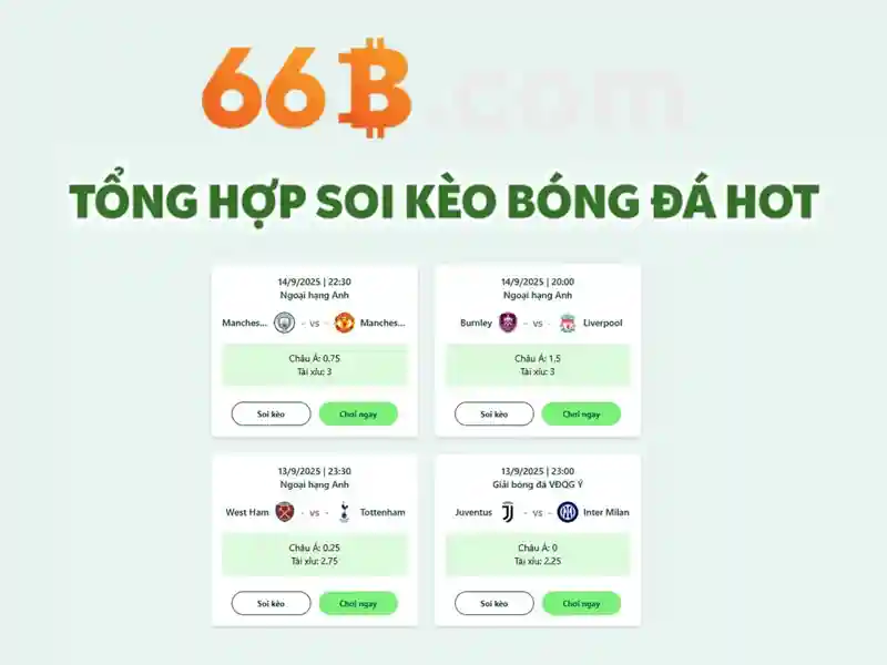 Ứng dụng hiện đại của 66b