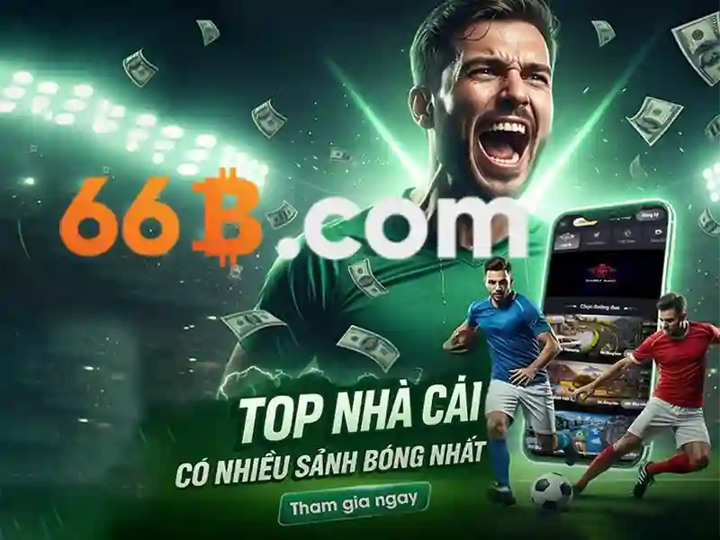 66b trong thiết kế và nền văn hóa số